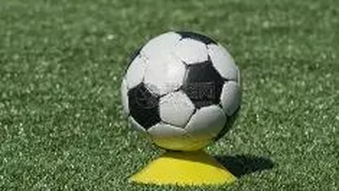 PT视讯官网 资讯 112400 3yo