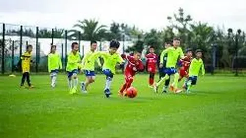 PT视讯官网 产品 112847 x19