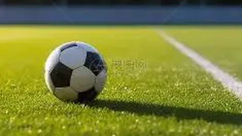 今日：51 ｜ 主题：1549 ｜ 排名：12 - FM2023特辑