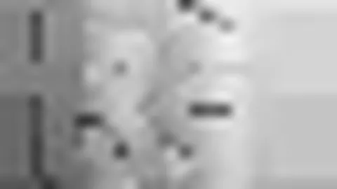 PT视讯官网 产品 093622 nik